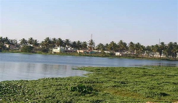 Featured Image of Varthur Lake
